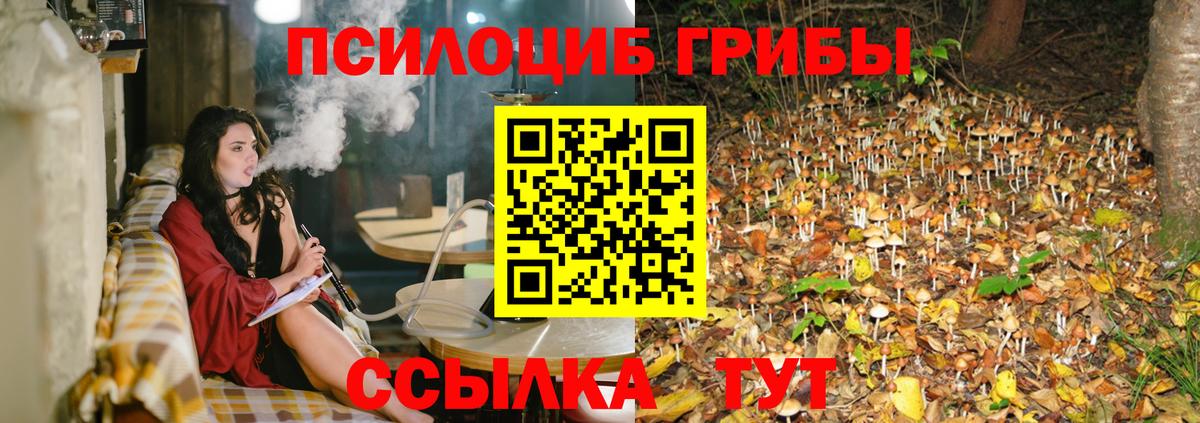 Псилоцибиновые грибы мицелий Чистополь
