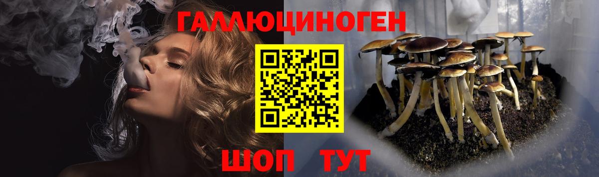 Чистополь  Псилоцибиновые грибы Magic Shrooms  Вход с VPN 